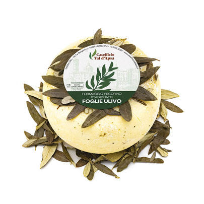 formaggio_pecorino_stagionato_foglie_ulivo_caseificio_val_d_apsa